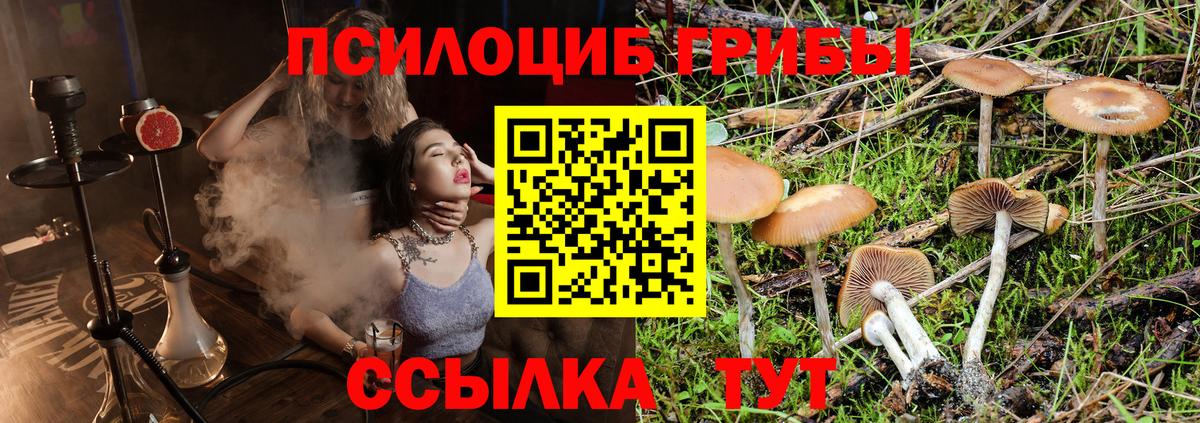 Галлюциногенные грибы Magic Shrooms Мценск