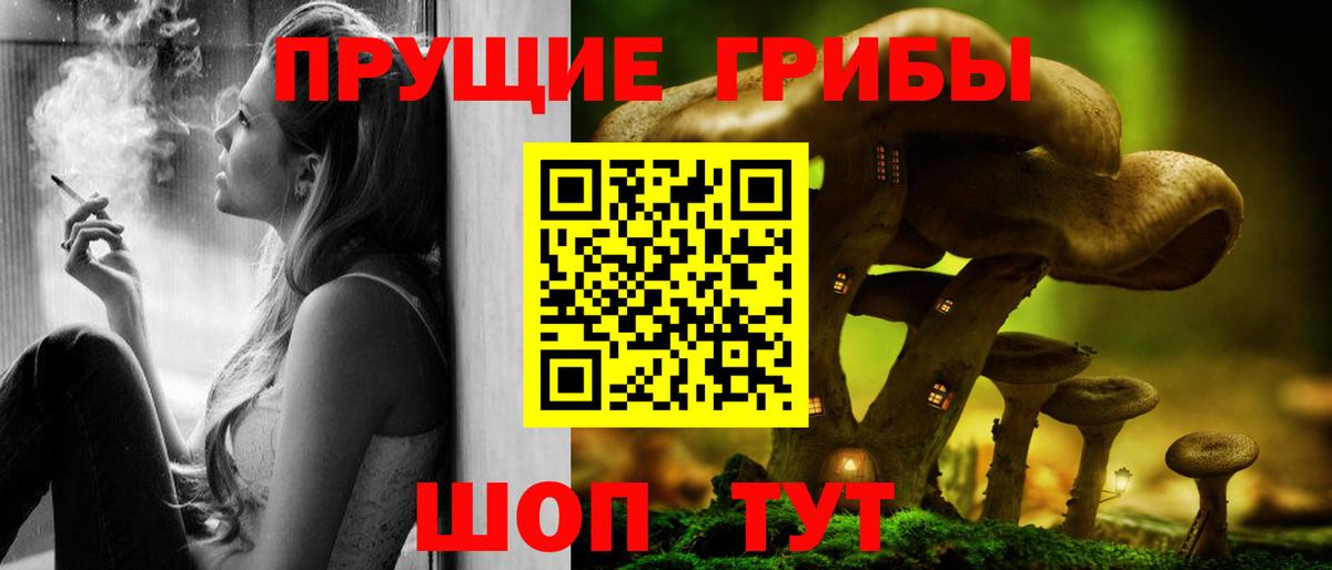 наркота  Вход с VPN  Мценск  Галлюциногенные грибы MAGIC MUSHROOMS 